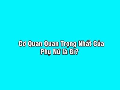 Suy nghĩ đơn giản thôi nha cả nhà mình ơi :D